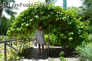 [P58] mini grădina de legume » foto by barbu minel
 - 
<span class="allrVoted glyphicon glyphicon-heart hidden" id="av711514"></span>
<a class="m-l-10 hidden" id="sv711514" onclick="voting_Foto_DelVot(,711514,19932)" role="button">șterge vot <span class="glyphicon glyphicon-remove"></span></a>
<a id="v9711514" class=" c-red"  onclick="voting_Foto_SetVot(711514)" role="button"><span class="glyphicon glyphicon-heart-empty"></span> <b>LIKE</b> = Votează poza</a> <img class="hidden"  id="f711514W9" src="/imagini/loader.gif" border="0" /><span class="AjErrMes hidden" id="e711514ErM"></span>