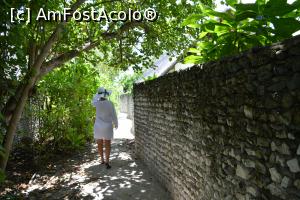 [P59] pe o cărăruie spre ocean, partea de sud » foto by barbu minel
 - 
<span class="allrVoted glyphicon glyphicon-heart hidden" id="av711515"></span>
<a class="m-l-10 hidden" id="sv711515" onclick="voting_Foto_DelVot(,711515,19932)" role="button">șterge vot <span class="glyphicon glyphicon-remove"></span></a>
<a id="v9711515" class=" c-red"  onclick="voting_Foto_SetVot(711515)" role="button"><span class="glyphicon glyphicon-heart-empty"></span> <b>LIKE</b> = Votează poza</a> <img class="hidden"  id="f711515W9" src="/imagini/loader.gif" border="0" /><span class="AjErrMes hidden" id="e711515ErM"></span>