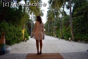 [P63] de la recepție către pontonul sosiri-plecări » foto by barbu minel
 - 
<span class="allrVoted glyphicon glyphicon-heart hidden" id="av711519"></span>
<a class="m-l-10 hidden" id="sv711519" onclick="voting_Foto_DelVot(,711519,19932)" role="button">șterge vot <span class="glyphicon glyphicon-remove"></span></a>
<a id="v9711519" class=" c-red"  onclick="voting_Foto_SetVot(711519)" role="button"><span class="glyphicon glyphicon-heart-empty"></span> <b>LIKE</b> = Votează poza</a> <img class="hidden"  id="f711519W9" src="/imagini/loader.gif" border="0" /><span class="AjErrMes hidden" id="e711519ErM"></span>