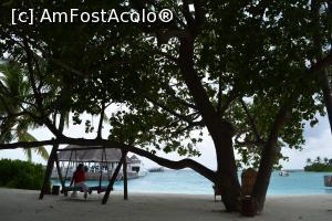 [P10]  -- <small>// FĂRĂ DESCRIERE</small> » foto by barbu minel
 - 
<span class="allrVoted glyphicon glyphicon-heart hidden" id="av711410"></span>
<a class="m-l-10 hidden" id="sv711410" onclick="voting_Foto_DelVot(,711410,19933)" role="button">șterge vot <span class="glyphicon glyphicon-remove"></span></a>
<a id="v9711410" class=" c-red"  onclick="voting_Foto_SetVot(711410)" role="button"><span class="glyphicon glyphicon-heart-empty"></span> <b>LIKE</b> = Votează poza</a> <img class="hidden"  id="f711410W9" src="/imagini/loader.gif" border="0" /><span class="AjErrMes hidden" id="e711410ErM"></span>