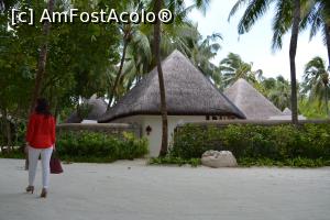 [P11] căsuța nr 101 » foto by barbu minel
 - 
<span class="allrVoted glyphicon glyphicon-heart hidden" id="av711411"></span>
<a class="m-l-10 hidden" id="sv711411" onclick="voting_Foto_DelVot(,711411,19933)" role="button">șterge vot <span class="glyphicon glyphicon-remove"></span></a>
<a id="v9711411" class=" c-red"  onclick="voting_Foto_SetVot(711411)" role="button"><span class="glyphicon glyphicon-heart-empty"></span> <b>LIKE</b> = Votează poza</a> <img class="hidden"  id="f711411W9" src="/imagini/loader.gif" border="0" /><span class="AjErrMes hidden" id="e711411ErM"></span>