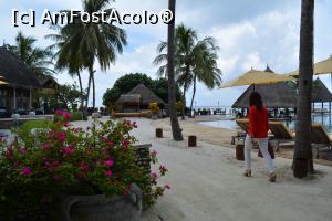 [P15]  -- <small>// FĂRĂ DESCRIERE</small> » foto by barbu minel
 - 
<span class="allrVoted glyphicon glyphicon-heart hidden" id="av711415"></span>
<a class="m-l-10 hidden" id="sv711415" onclick="voting_Foto_DelVot(,711415,19933)" role="button">șterge vot <span class="glyphicon glyphicon-remove"></span></a>
<a id="v9711415" class=" c-red"  onclick="voting_Foto_SetVot(711415)" role="button"><span class="glyphicon glyphicon-heart-empty"></span> <b>LIKE</b> = Votează poza</a> <img class="hidden"  id="f711415W9" src="/imagini/loader.gif" border="0" /><span class="AjErrMes hidden" id="e711415ErM"></span>