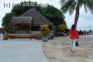 [P17]  -- <small>// FĂRĂ DESCRIERE</small> » foto by barbu minel
 - 
<span class="allrVoted glyphicon glyphicon-heart hidden" id="av711417"></span>
<a class="m-l-10 hidden" id="sv711417" onclick="voting_Foto_DelVot(,711417,19933)" role="button">șterge vot <span class="glyphicon glyphicon-remove"></span></a>
<a id="v9711417" class=" c-red"  onclick="voting_Foto_SetVot(711417)" role="button"><span class="glyphicon glyphicon-heart-empty"></span> <b>LIKE</b> = Votează poza</a> <img class="hidden"  id="f711417W9" src="/imagini/loader.gif" border="0" /><span class="AjErrMes hidden" id="e711417ErM"></span>