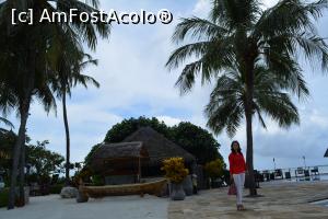 [P18]  -- <small>// FĂRĂ DESCRIERE</small> » foto by barbu minel
 - 
<span class="allrVoted glyphicon glyphicon-heart hidden" id="av711418"></span>
<a class="m-l-10 hidden" id="sv711418" onclick="voting_Foto_DelVot(,711418,19933)" role="button">șterge vot <span class="glyphicon glyphicon-remove"></span></a>
<a id="v9711418" class=" c-red"  onclick="voting_Foto_SetVot(711418)" role="button"><span class="glyphicon glyphicon-heart-empty"></span> <b>LIKE</b> = Votează poza</a> <img class="hidden"  id="f711418W9" src="/imagini/loader.gif" border="0" /><span class="AjErrMes hidden" id="e711418ErM"></span>