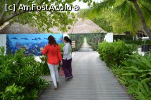 [P02] spre recepție » foto by barbu minel
 - 
<span class="allrVoted glyphicon glyphicon-heart hidden" id="av711402"></span>
<a class="m-l-10 hidden" id="sv711402" onclick="voting_Foto_DelVot(,711402,19933)" role="button">șterge vot <span class="glyphicon glyphicon-remove"></span></a>
<a id="v9711402" class=" c-red"  onclick="voting_Foto_SetVot(711402)" role="button"><span class="glyphicon glyphicon-heart-empty"></span> <b>LIKE</b> = Votează poza</a> <img class="hidden"  id="f711402W9" src="/imagini/loader.gif" border="0" /><span class="AjErrMes hidden" id="e711402ErM"></span>