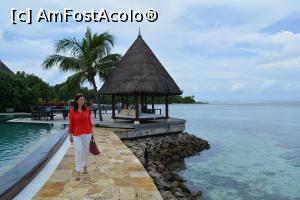 [P23]  -- <small>// FĂRĂ DESCRIERE</small> » foto by barbu minel
 - 
<span class="allrVoted glyphicon glyphicon-heart hidden" id="av711423"></span>
<a class="m-l-10 hidden" id="sv711423" onclick="voting_Foto_DelVot(,711423,19933)" role="button">șterge vot <span class="glyphicon glyphicon-remove"></span></a>
<a id="v9711423" class=" c-red"  onclick="voting_Foto_SetVot(711423)" role="button"><span class="glyphicon glyphicon-heart-empty"></span> <b>LIKE</b> = Votează poza</a> <img class="hidden"  id="f711423W9" src="/imagini/loader.gif" border="0" /><span class="AjErrMes hidden" id="e711423ErM"></span>