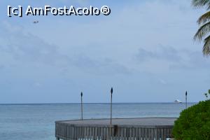 [P25]  -- <small>// FĂRĂ DESCRIERE</small> » foto by barbu minel
 - 
<span class="allrVoted glyphicon glyphicon-heart hidden" id="av711425"></span>
<a class="m-l-10 hidden" id="sv711425" onclick="voting_Foto_DelVot(,711425,19933)" role="button">șterge vot <span class="glyphicon glyphicon-remove"></span></a>
<a id="v9711425" class=" c-red"  onclick="voting_Foto_SetVot(711425)" role="button"><span class="glyphicon glyphicon-heart-empty"></span> <b>LIKE</b> = Votează poza</a> <img class="hidden"  id="f711425W9" src="/imagini/loader.gif" border="0" /><span class="AjErrMes hidden" id="e711425ErM"></span>