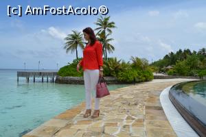 [P26]  -- <small>// FĂRĂ DESCRIERE</small> » foto by barbu minel
 - 
<span class="allrVoted glyphicon glyphicon-heart hidden" id="av711426"></span>
<a class="m-l-10 hidden" id="sv711426" onclick="voting_Foto_DelVot(,711426,19933)" role="button">șterge vot <span class="glyphicon glyphicon-remove"></span></a>
<a id="v9711426" class=" c-red"  onclick="voting_Foto_SetVot(711426)" role="button"><span class="glyphicon glyphicon-heart-empty"></span> <b>LIKE</b> = Votează poza</a> <img class="hidden"  id="f711426W9" src="/imagini/loader.gif" border="0" /><span class="AjErrMes hidden" id="e711426ErM"></span>