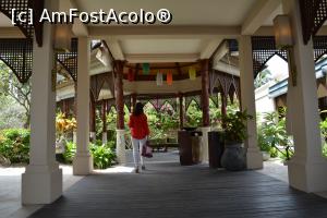 [P32] terasa de la main » foto by barbu minel
 - 
<span class="allrVoted glyphicon glyphicon-heart hidden" id="av711432"></span>
<a class="m-l-10 hidden" id="sv711432" onclick="voting_Foto_DelVot(,711432,19933)" role="button">șterge vot <span class="glyphicon glyphicon-remove"></span></a>
<a id="v9711432" class=" c-red"  onclick="voting_Foto_SetVot(711432)" role="button"><span class="glyphicon glyphicon-heart-empty"></span> <b>LIKE</b> = Votează poza</a> <img class="hidden"  id="f711432W9" src="/imagini/loader.gif" border="0" /><span class="AjErrMes hidden" id="e711432ErM"></span>