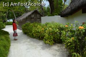 [P39] vechi și nou » foto by barbu minel
 - 
<span class="allrVoted glyphicon glyphicon-heart hidden" id="av711439"></span>
<a class="m-l-10 hidden" id="sv711439" onclick="voting_Foto_DelVot(,711439,19933)" role="button">șterge vot <span class="glyphicon glyphicon-remove"></span></a>
<a id="v9711439" class=" c-red"  onclick="voting_Foto_SetVot(711439)" role="button"><span class="glyphicon glyphicon-heart-empty"></span> <b>LIKE</b> = Votează poza</a> <img class="hidden"  id="f711439W9" src="/imagini/loader.gif" border="0" /><span class="AjErrMes hidden" id="e711439ErM"></span>