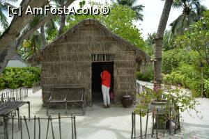 [P40] tradiție » foto by barbu minel
 - 
<span class="allrVoted glyphicon glyphicon-heart hidden" id="av711440"></span>
<a class="m-l-10 hidden" id="sv711440" onclick="voting_Foto_DelVot(,711440,19933)" role="button">șterge vot <span class="glyphicon glyphicon-remove"></span></a>
<a id="v9711440" class=" c-red"  onclick="voting_Foto_SetVot(711440)" role="button"><span class="glyphicon glyphicon-heart-empty"></span> <b>LIKE</b> = Votează poza</a> <img class="hidden"  id="f711440W9" src="/imagini/loader.gif" border="0" /><span class="AjErrMes hidden" id="e711440ErM"></span>