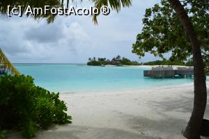 [P41] iarăsi pe plajă » foto by barbu minel
 - 
<span class="allrVoted glyphicon glyphicon-heart hidden" id="av711441"></span>
<a class="m-l-10 hidden" id="sv711441" onclick="voting_Foto_DelVot(,711441,19933)" role="button">șterge vot <span class="glyphicon glyphicon-remove"></span></a>
<a id="v9711441" class=" c-red"  onclick="voting_Foto_SetVot(711441)" role="button"><span class="glyphicon glyphicon-heart-empty"></span> <b>LIKE</b> = Votează poza</a> <img class="hidden"  id="f711441W9" src="/imagini/loader.gif" border="0" /><span class="AjErrMes hidden" id="e711441ErM"></span>