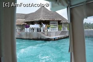 [P44] la cât mai repede vedere!  » foto by barbu minel
 - 
<span class="allrVoted glyphicon glyphicon-heart hidden" id="av711444"></span>
<a class="m-l-10 hidden" id="sv711444" onclick="voting_Foto_DelVot(,711444,19933)" role="button">șterge vot <span class="glyphicon glyphicon-remove"></span></a>
<a id="v9711444" class=" c-red"  onclick="voting_Foto_SetVot(711444)" role="button"><span class="glyphicon glyphicon-heart-empty"></span> <b>LIKE</b> = Votează poza</a> <img class="hidden"  id="f711444W9" src="/imagini/loader.gif" border="0" /><span class="AjErrMes hidden" id="e711444ErM"></span>