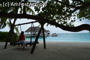 [P08] pontonul de sosiri-plecări » foto by barbu minel
 - 
<span class="allrVoted glyphicon glyphicon-heart hidden" id="av711408"></span>
<a class="m-l-10 hidden" id="sv711408" onclick="voting_Foto_DelVot(,711408,19933)" role="button">șterge vot <span class="glyphicon glyphicon-remove"></span></a>
<a id="v9711408" class=" c-red"  onclick="voting_Foto_SetVot(711408)" role="button"><span class="glyphicon glyphicon-heart-empty"></span> <b>LIKE</b> = Votează poza</a> <img class="hidden"  id="f711408W9" src="/imagini/loader.gif" border="0" /><span class="AjErrMes hidden" id="e711408ErM"></span>