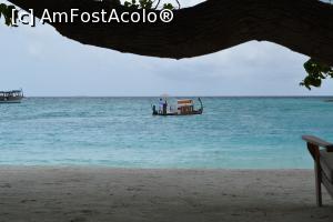 [P09] aprovizionare spa » foto by barbu minel
 - 
<span class="allrVoted glyphicon glyphicon-heart hidden" id="av711409"></span>
<a class="m-l-10 hidden" id="sv711409" onclick="voting_Foto_DelVot(,711409,19933)" role="button">șterge vot <span class="glyphicon glyphicon-remove"></span></a>
<a id="v9711409" class=" c-red"  onclick="voting_Foto_SetVot(711409)" role="button"><span class="glyphicon glyphicon-heart-empty"></span> <b>LIKE</b> = Votează poza</a> <img class="hidden"  id="f711409W9" src="/imagini/loader.gif" border="0" /><span class="AjErrMes hidden" id="e711409ErM"></span>