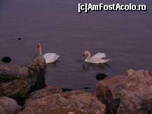 [P16] Eforie Sud - se lasă noaptea » foto by makuy*
 - 
<span class="allrVoted glyphicon glyphicon-heart hidden" id="av466854"></span>
<a class="m-l-10 hidden" id="sv466854" onclick="voting_Foto_DelVot(,466854,19965)" role="button">șterge vot <span class="glyphicon glyphicon-remove"></span></a>
<a id="v9466854" class=" c-red"  onclick="voting_Foto_SetVot(466854)" role="button"><span class="glyphicon glyphicon-heart-empty"></span> <b>LIKE</b> = Votează poza</a> <img class="hidden"  id="f466854W9" src="/imagini/loader.gif" border="0" /><span class="AjErrMes hidden" id="e466854ErM"></span>