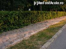 [P17] Eforie Sud - trotuarul vechi, sub care copacii își întind rădăcinile...  » foto by makuy*
 - 
<span class="allrVoted glyphicon glyphicon-heart hidden" id="av466855"></span>
<a class="m-l-10 hidden" id="sv466855" onclick="voting_Foto_DelVot(,466855,19965)" role="button">șterge vot <span class="glyphicon glyphicon-remove"></span></a>
<a id="v9466855" class=" c-red"  onclick="voting_Foto_SetVot(466855)" role="button"><span class="glyphicon glyphicon-heart-empty"></span> <b>LIKE</b> = Votează poza</a> <img class="hidden"  id="f466855W9" src="/imagini/loader.gif" border="0" /><span class="AjErrMes hidden" id="e466855ErM"></span>
