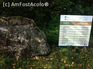[P38] Tabăra de Sculptură Măgura, Buzău » foto by Mioritik
 - 
<span class="allrVoted glyphicon glyphicon-heart hidden" id="av1255095"></span>
<a class="m-l-10 hidden" id="sv1255095" onclick="voting_Foto_DelVot(,1255095,19973)" role="button">șterge vot <span class="glyphicon glyphicon-remove"></span></a>
<a id="v91255095" class=" c-red"  onclick="voting_Foto_SetVot(1255095)" role="button"><span class="glyphicon glyphicon-heart-empty"></span> <b>LIKE</b> = Votează poza</a> <img class="hidden"  id="f1255095W9" src="/imagini/loader.gif" border="0" /><span class="AjErrMes hidden" id="e1255095ErM"></span>