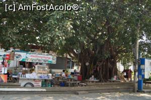 [P11] restaurante ambulante la marginea strazii » foto by Pami*
 - 
<span class="allrVoted glyphicon glyphicon-heart hidden" id="av720169"></span>
<a class="m-l-10 hidden" id="sv720169" onclick="voting_Foto_DelVot(,720169,20034)" role="button">șterge vot <span class="glyphicon glyphicon-remove"></span></a>
<a id="v9720169" class=" c-red"  onclick="voting_Foto_SetVot(720169)" role="button"><span class="glyphicon glyphicon-heart-empty"></span> <b>LIKE</b> = Votează poza</a> <img class="hidden"  id="f720169W9" src="/imagini/loader.gif" border="0" /><span class="AjErrMes hidden" id="e720169ErM"></span>