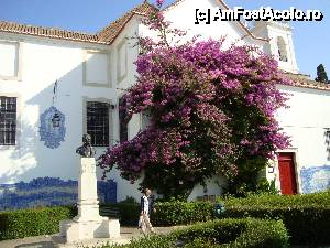 [P05] Igreja de Santa Luzia -vedere din spate » foto by mireille
 - 
<span class="allrVoted glyphicon glyphicon-heart hidden" id="av458936"></span>
<a class="m-l-10 hidden" id="sv458936" onclick="voting_Foto_DelVot(,458936,20046)" role="button">șterge vot <span class="glyphicon glyphicon-remove"></span></a>
<a id="v9458936" class=" c-red"  onclick="voting_Foto_SetVot(458936)" role="button"><span class="glyphicon glyphicon-heart-empty"></span> <b>LIKE</b> = Votează poza</a> <img class="hidden"  id="f458936W9" src="/imagini/loader.gif" border="0" /><span class="AjErrMes hidden" id="e458936ErM"></span>