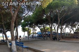 [P19] Platja dels Pins și pinii... » foto by maryka
 - 
<span class="allrVoted glyphicon glyphicon-heart hidden" id="av1195279"></span>
<a class="m-l-10 hidden" id="sv1195279" onclick="voting_Foto_DelVot(,1195279,20055)" role="button">șterge vot <span class="glyphicon glyphicon-remove"></span></a>
<a id="v91195279" class=" c-red"  onclick="voting_Foto_SetVot(1195279)" role="button"><span class="glyphicon glyphicon-heart-empty"></span> <b>LIKE</b> = Votează poza</a> <img class="hidden"  id="f1195279W9" src="/imagini/loader.gif" border="0" /><span class="AjErrMes hidden" id="e1195279ErM"></span>