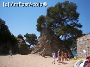 [P11] Trecerea de la o plaja la alta se facea pe-aici » foto by cristina47*
 - 
<span class="allrVoted glyphicon glyphicon-heart hidden" id="av721760"></span>
<a class="m-l-10 hidden" id="sv721760" onclick="voting_Foto_DelVot(,721760,20055)" role="button">șterge vot <span class="glyphicon glyphicon-remove"></span></a>
<a id="v9721760" class=" c-red"  onclick="voting_Foto_SetVot(721760)" role="button"><span class="glyphicon glyphicon-heart-empty"></span> <b>LIKE</b> = Votează poza</a> <img class="hidden"  id="f721760W9" src="/imagini/loader.gif" border="0" /><span class="AjErrMes hidden" id="e721760ErM"></span>