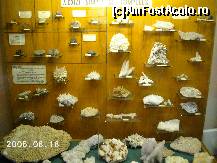 [P18] Vitrin cu diferite minerale de silice şi cuarţ » foto by Costi
 - 
<span class="allrVoted glyphicon glyphicon-heart hidden" id="av37852"></span>
<a class="m-l-10 hidden" id="sv37852" onclick="voting_Foto_DelVot(,37852,20092)" role="button">șterge vot <span class="glyphicon glyphicon-remove"></span></a>
<a id="v937852" class=" c-red"  onclick="voting_Foto_SetVot(37852)" role="button"><span class="glyphicon glyphicon-heart-empty"></span> <b>LIKE</b> = Votează poza</a> <img class="hidden"  id="f37852W9" src="/imagini/loader.gif" border="0" /><span class="AjErrMes hidden" id="e37852ErM"></span>
