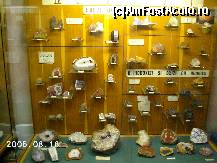 [P19] Vitrină cu frumoase minerale de pietre semipreţioase, cum sunt agatul şi opalul » foto by Costi
 - 
<span class="allrVoted glyphicon glyphicon-heart hidden" id="av37854"></span>
<a class="m-l-10 hidden" id="sv37854" onclick="voting_Foto_DelVot(,37854,20092)" role="button">șterge vot <span class="glyphicon glyphicon-remove"></span></a>
<a id="v937854" class=" c-red"  onclick="voting_Foto_SetVot(37854)" role="button"><span class="glyphicon glyphicon-heart-empty"></span> <b>LIKE</b> = Votează poza</a> <img class="hidden"  id="f37854W9" src="/imagini/loader.gif" border="0" /><span class="AjErrMes hidden" id="e37854ErM"></span>