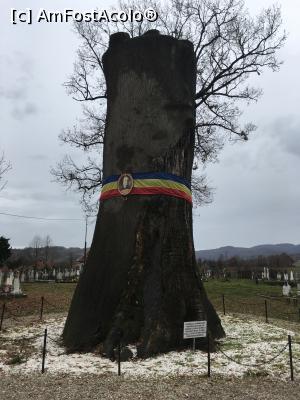 [P08] Gorunul lui Horea » foto by RossoNerro
 - 
<span class="allrVoted glyphicon glyphicon-heart hidden" id="av930214"></span>
<a class="m-l-10 hidden" id="sv930214" onclick="voting_Foto_DelVot(,930214,20095)" role="button">șterge vot <span class="glyphicon glyphicon-remove"></span></a>
<a id="v9930214" class=" c-red"  onclick="voting_Foto_SetVot(930214)" role="button"><span class="glyphicon glyphicon-heart-empty"></span> <b>LIKE</b> = Votează poza</a> <img class="hidden"  id="f930214W9" src="/imagini/loader.gif" border="0" /><span class="AjErrMes hidden" id="e930214ErM"></span>