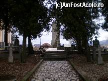 [P06] Tebea - aleea care duce la mormantul lui Avram Iancu si gorunul lui Horea. » foto by presario
 - 
<span class="allrVoted glyphicon glyphicon-heart hidden" id="av50233"></span>
<a class="m-l-10 hidden" id="sv50233" onclick="voting_Foto_DelVot(,50233,20095)" role="button">șterge vot <span class="glyphicon glyphicon-remove"></span></a>
<a id="v950233" class=" c-red"  onclick="voting_Foto_SetVot(50233)" role="button"><span class="glyphicon glyphicon-heart-empty"></span> <b>LIKE</b> = Votează poza</a> <img class="hidden"  id="f50233W9" src="/imagini/loader.gif" border="0" /><span class="AjErrMes hidden" id="e50233ErM"></span>