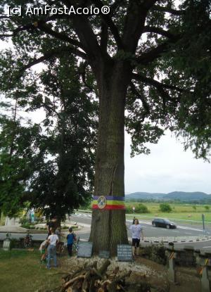 [P08] gorunul lui Avram Iancu se inalta falnic » foto by buterfly*
 - 
<span class="allrVoted glyphicon glyphicon-heart hidden" id="av905036"></span>
<a class="m-l-10 hidden" id="sv905036" onclick="voting_Foto_DelVot(,905036,20095)" role="button">șterge vot <span class="glyphicon glyphicon-remove"></span></a>
<a id="v9905036" class=" c-red"  onclick="voting_Foto_SetVot(905036)" role="button"><span class="glyphicon glyphicon-heart-empty"></span> <b>LIKE</b> = Votează poza</a> <img class="hidden"  id="f905036W9" src="/imagini/loader.gif" border="0" /><span class="AjErrMes hidden" id="e905036ErM"></span>
