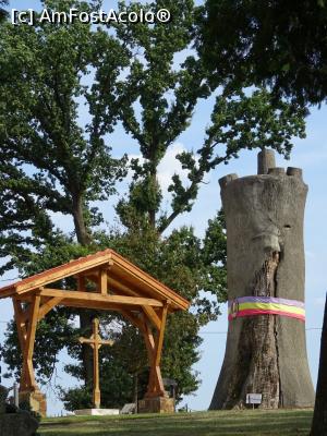 [P16] Fosila gorunului lui Horea și crucea realizată din ultima ramură a arborelui secular.  » foto by tata123 🔱
 - 
<span class="allrVoted glyphicon glyphicon-heart hidden" id="av1107155"></span>
<a class="m-l-10 hidden" id="sv1107155" onclick="voting_Foto_DelVot(,1107155,20095)" role="button">șterge vot <span class="glyphicon glyphicon-remove"></span></a>
<a id="v91107155" class=" c-red"  onclick="voting_Foto_SetVot(1107155)" role="button"><span class="glyphicon glyphicon-heart-empty"></span> <b>LIKE</b> = Votează poza</a> <img class="hidden"  id="f1107155W9" src="/imagini/loader.gif" border="0" /><span class="AjErrMes hidden" id="e1107155ErM"></span>