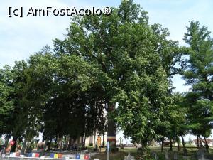 [P02] Complexul de Monumente de la Țebea.  » foto by tata123 🔱
 - 
<span class="allrVoted glyphicon glyphicon-heart hidden" id="av1107138"></span>
<a class="m-l-10 hidden" id="sv1107138" onclick="voting_Foto_DelVot(,1107138,20095)" role="button">șterge vot <span class="glyphicon glyphicon-remove"></span></a>
<a id="v91107138" class=" c-red"  onclick="voting_Foto_SetVot(1107138)" role="button"><span class="glyphicon glyphicon-heart-empty"></span> <b>LIKE</b> = Votează poza</a> <img class="hidden"  id="f1107138W9" src="/imagini/loader.gif" border="0" /><span class="AjErrMes hidden" id="e1107138ErM"></span>