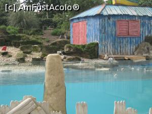 [P02] Zona cu pinguini » foto by PISICAANA
 - 
<span class="allrVoted glyphicon glyphicon-heart hidden" id="av728743"></span>
<a class="m-l-10 hidden" id="sv728743" onclick="voting_Foto_DelVot(,728743,20144)" role="button">șterge vot <span class="glyphicon glyphicon-remove"></span></a>
<a id="v9728743" class=" c-red"  onclick="voting_Foto_SetVot(728743)" role="button"><span class="glyphicon glyphicon-heart-empty"></span> <b>LIKE</b> = Votează poza</a> <img class="hidden"  id="f728743W9" src="/imagini/loader.gif" border="0" /><span class="AjErrMes hidden" id="e728743ErM"></span>