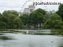 [P54] St. James's Park, vedere spre London Eye. » foto by Dragoș_MD
 - 
<span class="allrVoted glyphicon glyphicon-heart hidden" id="av207954"></span>
<a class="m-l-10 hidden" id="sv207954" onclick="voting_Foto_DelVot(,207954,20168)" role="button">șterge vot <span class="glyphicon glyphicon-remove"></span></a>
<a id="v9207954" class=" c-red"  onclick="voting_Foto_SetVot(207954)" role="button"><span class="glyphicon glyphicon-heart-empty"></span> <b>LIKE</b> = Votează poza</a> <img class="hidden"  id="f207954W9" src="/imagini/loader.gif" border="0" /><span class="AjErrMes hidden" id="e207954ErM"></span>