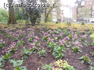 [P12] Battersea Park » foto by Silvia30*
 - 
<span class="allrVoted glyphicon glyphicon-heart hidden" id="av730370"></span>
<a class="m-l-10 hidden" id="sv730370" onclick="voting_Foto_DelVot(,730370,20168)" role="button">șterge vot <span class="glyphicon glyphicon-remove"></span></a>
<a id="v9730370" class=" c-red"  onclick="voting_Foto_SetVot(730370)" role="button"><span class="glyphicon glyphicon-heart-empty"></span> <b>LIKE</b> = Votează poza</a> <img class="hidden"  id="f730370W9" src="/imagini/loader.gif" border="0" /><span class="AjErrMes hidden" id="e730370ErM"></span>