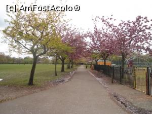[P13] Battersea Park » foto by Silvia30*
 - 
<span class="allrVoted glyphicon glyphicon-heart hidden" id="av730371"></span>
<a class="m-l-10 hidden" id="sv730371" onclick="voting_Foto_DelVot(,730371,20168)" role="button">șterge vot <span class="glyphicon glyphicon-remove"></span></a>
<a id="v9730371" class=" c-red"  onclick="voting_Foto_SetVot(730371)" role="button"><span class="glyphicon glyphicon-heart-empty"></span> <b>LIKE</b> = Votează poza</a> <img class="hidden"  id="f730371W9" src="/imagini/loader.gif" border="0" /><span class="AjErrMes hidden" id="e730371ErM"></span>