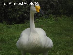 [P27]  -- <small>// FĂRĂ DESCRIERE</small> » foto by Silvia30*
 - 
<span class="allrVoted glyphicon glyphicon-heart hidden" id="av730385"></span>
<a class="m-l-10 hidden" id="sv730385" onclick="voting_Foto_DelVot(,730385,20168)" role="button">șterge vot <span class="glyphicon glyphicon-remove"></span></a>
<a id="v9730385" class=" c-red"  onclick="voting_Foto_SetVot(730385)" role="button"><span class="glyphicon glyphicon-heart-empty"></span> <b>LIKE</b> = Votează poza</a> <img class="hidden"  id="f730385W9" src="/imagini/loader.gif" border="0" /><span class="AjErrMes hidden" id="e730385ErM"></span>