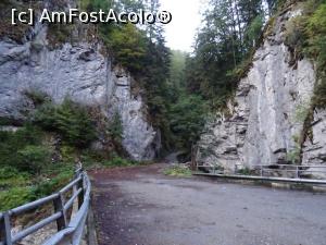[P11] Spre Cascada Gârbovul. » foto by tata123 🔱
 - 
<span class="allrVoted glyphicon glyphicon-heart hidden" id="av1262291"></span>
<a class="m-l-10 hidden" id="sv1262291" onclick="voting_Foto_DelVot(,1262291,20184)" role="button">șterge vot <span class="glyphicon glyphicon-remove"></span></a>
<a id="v91262291" class=" c-red"  onclick="voting_Foto_SetVot(1262291)" role="button"><span class="glyphicon glyphicon-heart-empty"></span> <b>LIKE</b> = Votează poza</a> <img class="hidden"  id="f1262291W9" src="/imagini/loader.gif" border="0" /><span class="AjErrMes hidden" id="e1262291ErM"></span>