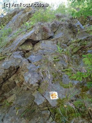[P13] Marcaj traseu Cascada Sterminos. » foto by tata123 🔱
 - 
<span class="allrVoted glyphicon glyphicon-heart hidden" id="av1262293"></span>
<a class="m-l-10 hidden" id="sv1262293" onclick="voting_Foto_DelVot(,1262293,20184)" role="button">șterge vot <span class="glyphicon glyphicon-remove"></span></a>
<a id="v91262293" class=" c-red"  onclick="voting_Foto_SetVot(1262293)" role="button"><span class="glyphicon glyphicon-heart-empty"></span> <b>LIKE</b> = Votează poza</a> <img class="hidden"  id="f1262293W9" src="/imagini/loader.gif" border="0" /><span class="AjErrMes hidden" id="e1262293ErM"></span>