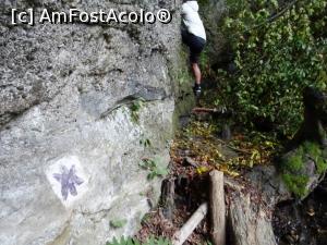 [P02] Marcaj și urcare pe stânci. » foto by tata123 🔱
 - 
<span class="allrVoted glyphicon glyphicon-heart hidden" id="av1262282"></span>
<a class="m-l-10 hidden" id="sv1262282" onclick="voting_Foto_DelVot(,1262282,20184)" role="button">șterge vot <span class="glyphicon glyphicon-remove"></span></a>
<a id="v91262282" class=" c-red"  onclick="voting_Foto_SetVot(1262282)" role="button"><span class="glyphicon glyphicon-heart-empty"></span> <b>LIKE</b> = Votează poza</a> <img class="hidden"  id="f1262282W9" src="/imagini/loader.gif" border="0" /><span class="AjErrMes hidden" id="e1262282ErM"></span>
