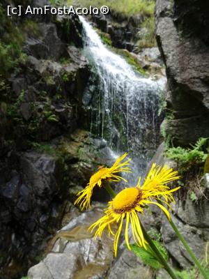 [P20] Cascada Sterminos. » foto by tata123 🔱
 - 
<span class="allrVoted glyphicon glyphicon-heart hidden" id="av1262300"></span>
<a class="m-l-10 hidden" id="sv1262300" onclick="voting_Foto_DelVot(,1262300,20184)" role="button">șterge vot <span class="glyphicon glyphicon-remove"></span></a>
<a id="v91262300" class=" c-red"  onclick="voting_Foto_SetVot(1262300)" role="button"><span class="glyphicon glyphicon-heart-empty"></span> <b>LIKE</b> = Votează poza</a> <img class="hidden"  id="f1262300W9" src="/imagini/loader.gif" border="0" /><span class="AjErrMes hidden" id="e1262300ErM"></span>