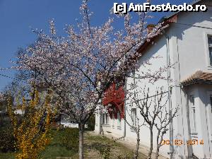 [P06] Casa Memorială Tudor Arghezi - Pomi înfloriţi cu şnururi de mărţişor legate de ramuri.  » foto by iulianic
 - 
<span class="allrVoted glyphicon glyphicon-heart hidden" id="av502549"></span>
<a class="m-l-10 hidden" id="sv502549" onclick="voting_Foto_DelVot(,502549,20190)" role="button">șterge vot <span class="glyphicon glyphicon-remove"></span></a>
<a id="v9502549" class=" c-red"  onclick="voting_Foto_SetVot(502549)" role="button"><span class="glyphicon glyphicon-heart-empty"></span> <b>LIKE</b> = Votează poza</a> <img class="hidden"  id="f502549W9" src="/imagini/loader.gif" border="0" /><span class="AjErrMes hidden" id="e502549ErM"></span>