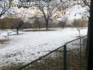 [P13]  -- <small>// FĂRĂ DESCRIERE</small> » foto by Dan&Ema
 - 
<span class="allrVoted glyphicon glyphicon-heart hidden" id="av1207806"></span>
<a class="m-l-10 hidden" id="sv1207806" onclick="voting_Foto_DelVot(,1207806,20190)" role="button">șterge vot <span class="glyphicon glyphicon-remove"></span></a>
<a id="v91207806" class=" c-red"  onclick="voting_Foto_SetVot(1207806)" role="button"><span class="glyphicon glyphicon-heart-empty"></span> <b>LIKE</b> = Votează poza</a> <img class="hidden"  id="f1207806W9" src="/imagini/loader.gif" border="0" /><span class="AjErrMes hidden" id="e1207806ErM"></span>