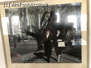 [P29]  -- <small>// FĂRĂ DESCRIERE</small> » foto by Dan&Ema
 - 
<span class="allrVoted glyphicon glyphicon-heart hidden" id="av1207822"></span>
<a class="m-l-10 hidden" id="sv1207822" onclick="voting_Foto_DelVot(,1207822,20190)" role="button">șterge vot <span class="glyphicon glyphicon-remove"></span></a>
<a id="v91207822" class=" c-red"  onclick="voting_Foto_SetVot(1207822)" role="button"><span class="glyphicon glyphicon-heart-empty"></span> <b>LIKE</b> = Votează poza</a> <img class="hidden"  id="f1207822W9" src="/imagini/loader.gif" border="0" /><span class="AjErrMes hidden" id="e1207822ErM"></span>