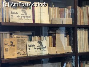 [P53]  -- <small>// FĂRĂ DESCRIERE</small> » foto by Dan&Ema
 - 
<span class="allrVoted glyphicon glyphicon-heart hidden" id="av1207846"></span>
<a class="m-l-10 hidden" id="sv1207846" onclick="voting_Foto_DelVot(,1207846,20190)" role="button">șterge vot <span class="glyphicon glyphicon-remove"></span></a>
<a id="v91207846" class=" c-red"  onclick="voting_Foto_SetVot(1207846)" role="button"><span class="glyphicon glyphicon-heart-empty"></span> <b>LIKE</b> = Votează poza</a> <img class="hidden"  id="f1207846W9" src="/imagini/loader.gif" border="0" /><span class="AjErrMes hidden" id="e1207846ErM"></span>