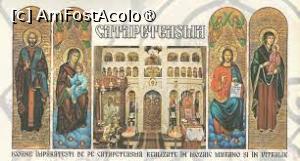 [P12] Catapeteasma » foto by Michi <span class="label label-default labelC_thin small">NEVOTABILĂ</span>