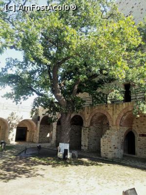 [P64] Cetatea Sucevei - curtea interioara » foto by relu mihai
 - 
<span class="allrVoted glyphicon glyphicon-heart hidden" id="av890735"></span>
<a class="m-l-10 hidden" id="sv890735" onclick="voting_Foto_DelVot(,890735,20199)" role="button">șterge vot <span class="glyphicon glyphicon-remove"></span></a>
<a id="v9890735" class=" c-red"  onclick="voting_Foto_SetVot(890735)" role="button"><span class="glyphicon glyphicon-heart-empty"></span> <b>LIKE</b> = Votează poza</a> <img class="hidden"  id="f890735W9" src="/imagini/loader.gif" border="0" /><span class="AjErrMes hidden" id="e890735ErM"></span>