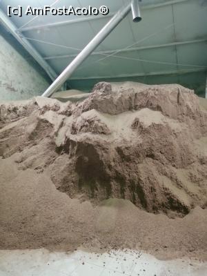 [P16] Hala unde sunt depozitați sâmburii » foto by diana2015
 - 
<span class="allrVoted glyphicon glyphicon-heart hidden" id="av1298236"></span>
<a class="m-l-10 hidden" id="sv1298236" onclick="voting_Foto_DelVot(,1298236,20251)" role="button">șterge vot <span class="glyphicon glyphicon-remove"></span></a>
<a id="v91298236" class=" c-red"  onclick="voting_Foto_SetVot(1298236)" role="button"><span class="glyphicon glyphicon-heart-empty"></span> <b>LIKE</b> = Votează poza</a> <img class="hidden"  id="f1298236W9" src="/imagini/loader.gif" border="0" /><span class="AjErrMes hidden" id="e1298236ErM"></span>