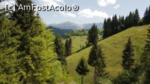 [P12]  -- <small>// FĂRĂ DESCRIERE</small> » foto by susu
 - 
<span class="allrVoted glyphicon glyphicon-heart hidden" id="av963644"></span>
<a class="m-l-10 hidden" id="sv963644" onclick="voting_Foto_DelVot(,963644,20255)" role="button">șterge vot <span class="glyphicon glyphicon-remove"></span></a>
<a id="v9963644" class=" c-red"  onclick="voting_Foto_SetVot(963644)" role="button"><span class="glyphicon glyphicon-heart-empty"></span> <b>LIKE</b> = Votează poza</a> <img class="hidden"  id="f963644W9" src="/imagini/loader.gif" border="0" /><span class="AjErrMes hidden" id="e963644ErM"></span>
